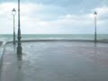 Alexandria havey rain
