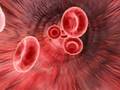 Red blood cells