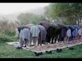 Kıyamet var kıyam et rükuya eğil secdeye var namaz kıl