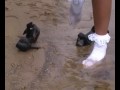 Walking in the river bank in wet and dirty white socks and high heel shoes