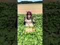みんなが助けに来てくれたのー！