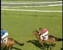 Championnat de France des Grandes Ecoles