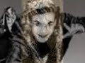 Nebun de Alb Emeric Imre