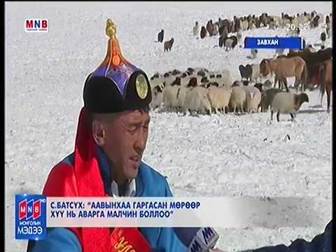 Улсын аварга малчин С.Батсүхийн шагналыг хотонд нь гардуулж өглөө