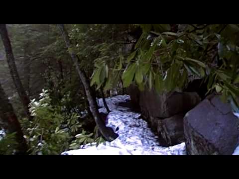 See video See video