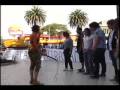videos de performance no + circos con animales