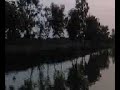 Scene of KOT HARA CHATTHA Scene of KOT HARA CHATTHA