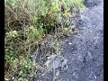 my-downhill-crapness.html