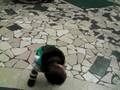 ピューロ　１