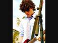 the jonas brothers