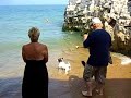 Toby & Butch swimming at Botany Bay Kingsgate Kent UK