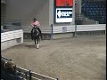jazz and dazzle7