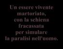 La follia dell'uomo.