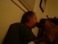 videos de Dog...please, stop it