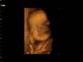 videos de Davids Princess 1