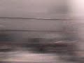 tuxpan nay pelea de pedro el oso sandoval
