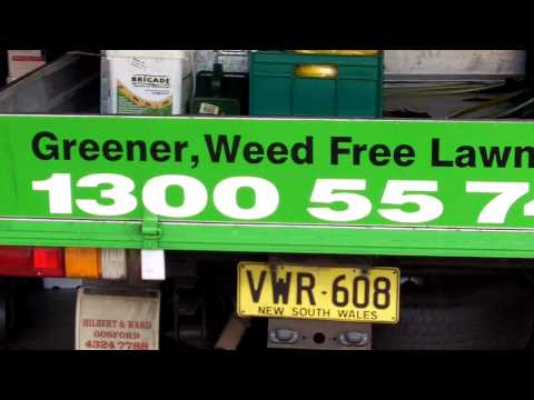 how to eliminate oxalis