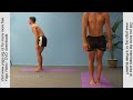 Dog pose Yoga Posture . One of the main yoga asanas. If you have time for only one posture try this one.