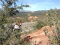 Garden Of The Gods North