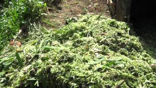 измельчитель 3