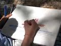 Desenho de José Pinto Coelho Desenho de José Pinto Coelho