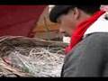 Situación de los pescadores de Caleta Portales