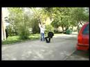 Stop motion