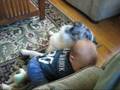 videos de Cuddling with my doggie 083108