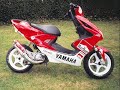 Moto e Motorini Tuning Parte 2 Malossi Polini Stage6 Hebo 2Fast Arrow Giannelli