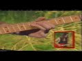 Paul Gilbert - Pentatonic Lick Of Doom