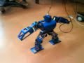 Graupner Robotics RB1000