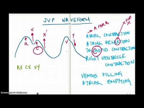 how to measure jvp waveform
