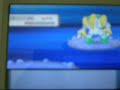 ポケットモンスター パール動画