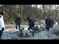 Regio Noord-Oost Kerstwandeling Regio Noord-Oost Kerstwandeling