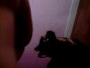 Cleo