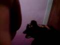 Cleo