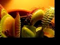 Documentaire animalier