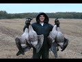 Bird Hunting