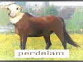perdelamus