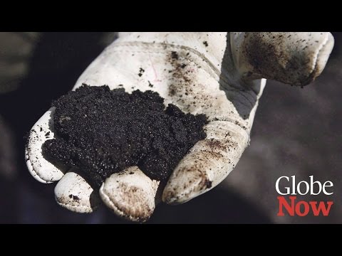The future of Canada's oil sands in light of downward oil prices
