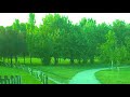 Parco Increa