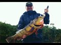 Amazon Sport Fishing DVD Parte 8