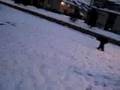 Snow Fighting - Part 2 - 4906 Buttonwood CT