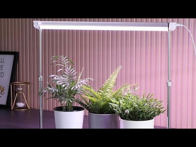 HOSUN - Grow Lamp w/stand in Indoor Lighting & Fans in Windsor Region