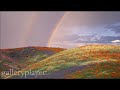 Tears in heaven