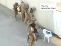 British Troops beating children