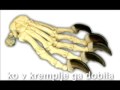 Izklop.com - Lepi Dasa