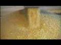Ethanol Boom Affecting Farms, Gas Pump