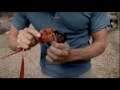 Slackline Yoga - YogaSlackers ~ slackline set up