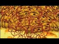 Inside the Cancer Cell (from PBS\
